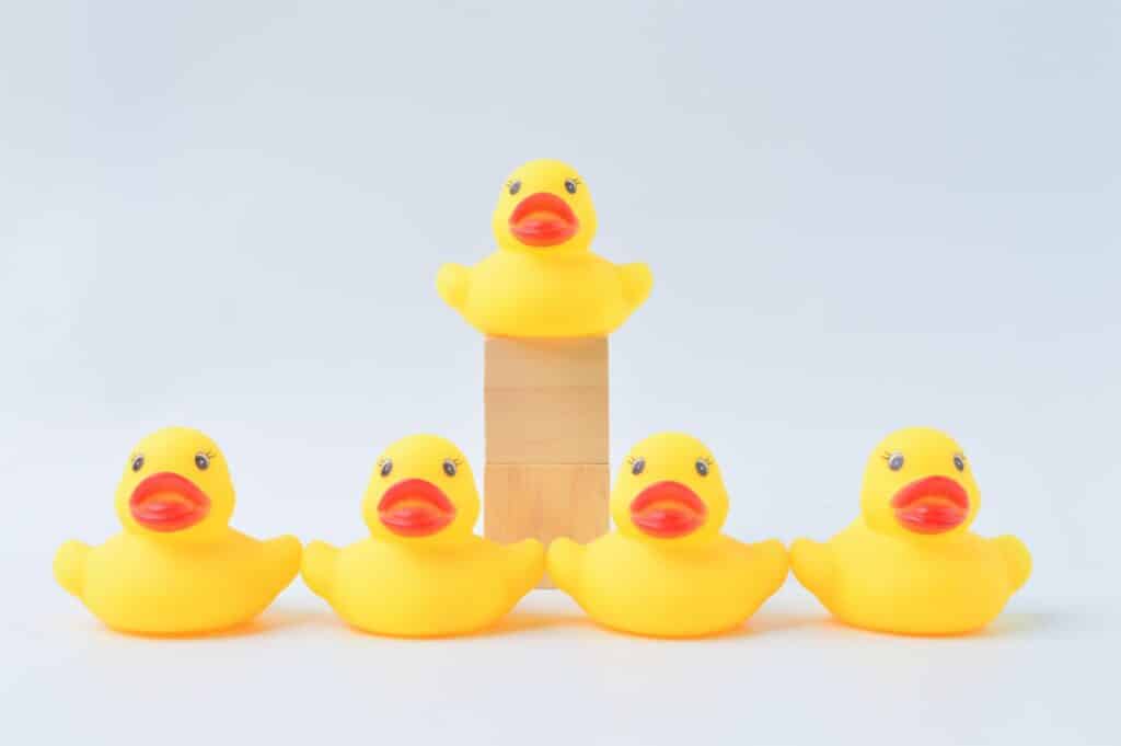 Toy duck leader with office staff. Social workers and leader concept.